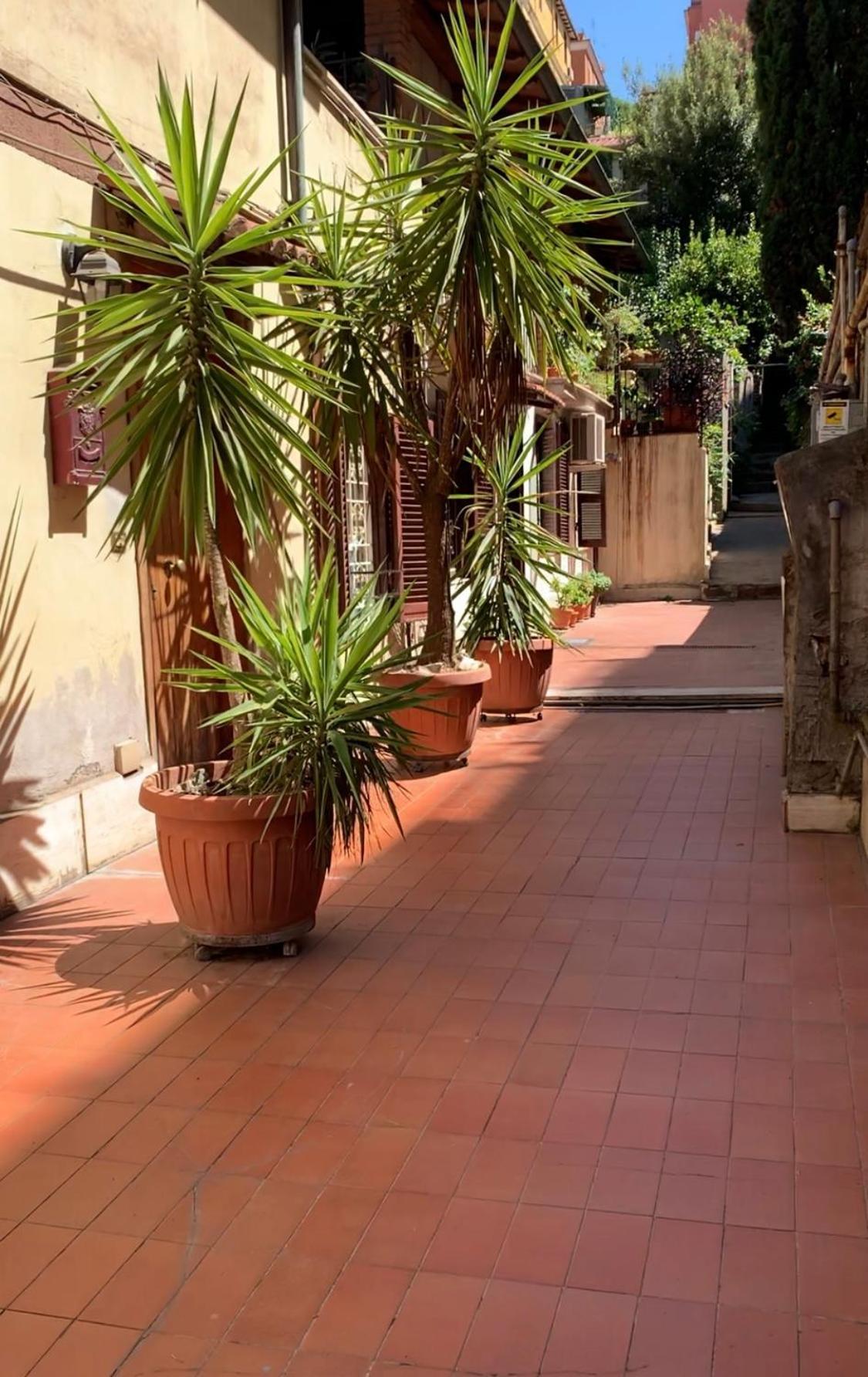 Terracehome71 - With Relaxing Terrace Near Vatican *